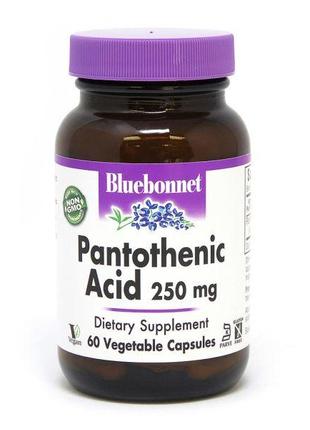 Витамины и минералы Bluebonnet Pantothenic Acid 250 mg, 60 вег...