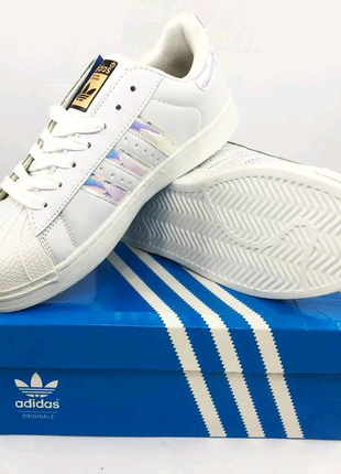 Жіночі кросівки adidas superstar