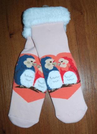 Теплые махровые носки 9-11 bross бросс влюбленные птички попуг...