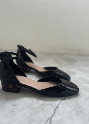Черные стильные туфли на низком квадратном каблуке с леопардов...
