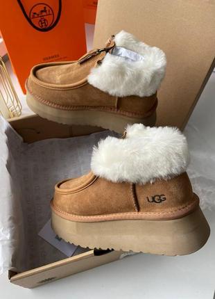 The deals grove ugg