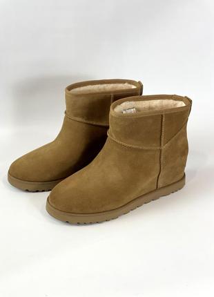 Женские зимние сапоги ugg classic femme 43 размер