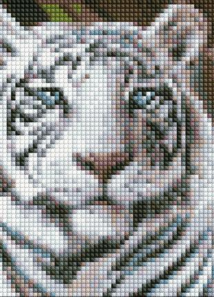 Алмазная мозаика без подрамника "Бенгальский тигр" 20х20 см