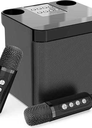 Семейный аудионабор Ynnweft KTV с двойным беспроводным микрофоном