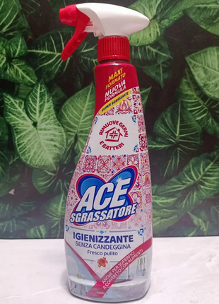 Универсальный спрей ACE Sgrassatore Igienizzante