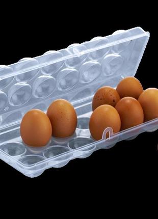 Лоток для яиц с крышкой прозрачный