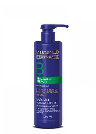 Бальзам відновлювальний для пошкодженого волосся Master LUX pr...