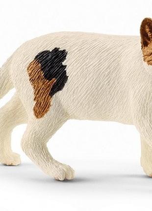 Игрушка фигурка Schleich Американская короткошерстная кошка