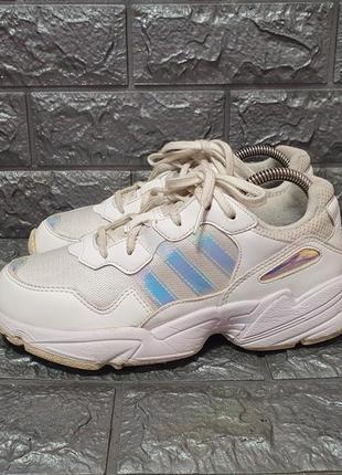 Кроссовки adidas yung-96 j white blue(оригинал)