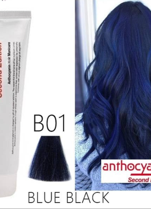 Краска для волос anthocyanin blue black/ антоцианин сине-чёрны...