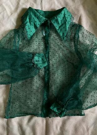 Блуза оксамитового кольору з комірцем з мереживом сорочка зеленог