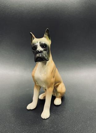 Фарфоровая немецкая статуэтка собака боксер клеймо