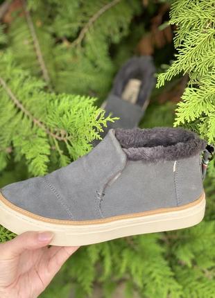 Ботильоны toms paxton 10012386 forged iron grey suede