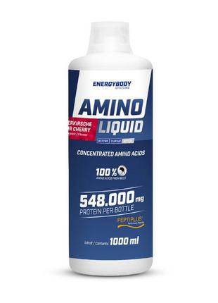 Комплекс аминокислот для тренировок Amino Liquid 548.000 mg (1...