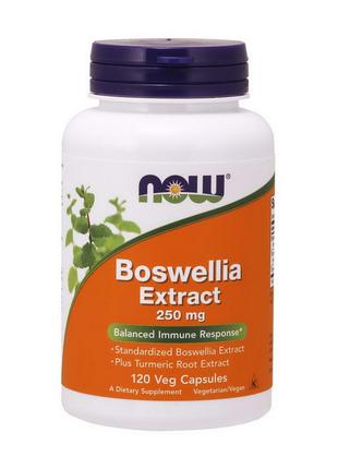 Босвелии экстракт Boswellia Extract 250 mg (120 veg caps), NOW...