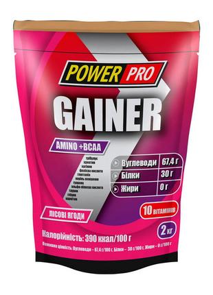 Гейнер високобілковий Gainer (2 kg, лесная ягода), Power Pro 18+