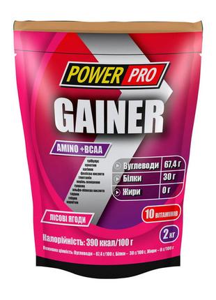 Gainer (2 kg, лесная ягода) 18+