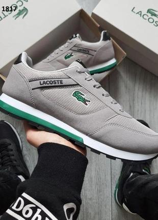 Мужские кроссовки lacoste