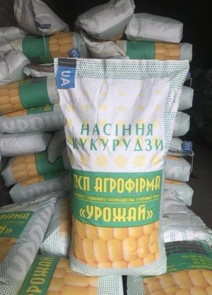 Семена кукурузы ДБ ХОТИН (фао 280)