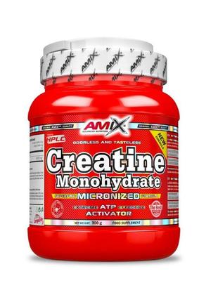 Креатин Amix Nutrition Creatine monohydrate, 300 грам