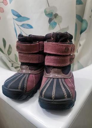 Зимові черевики чоботи primigi