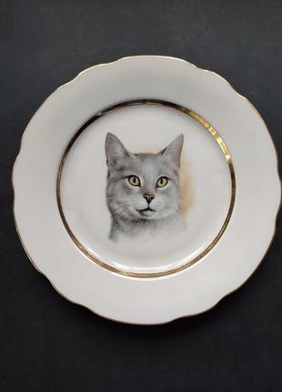 Порцелянова тарілка A.G.L.Gibtware Lord Nelson сірий кіт, Англія