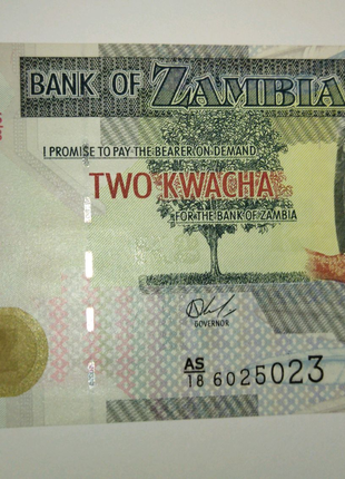 🇿🇲 Замбия 2 ZK квача 2018 UNC