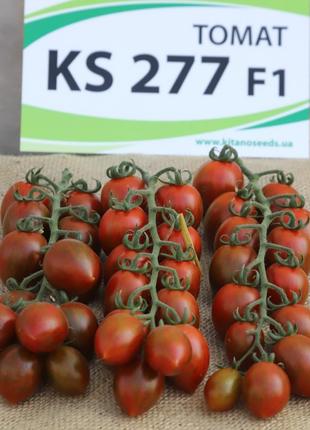 KS-277 F1, (100 сем.) семена томата черри Китано