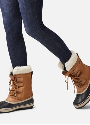 Зимние ботинки термолайтовые thekmolite на шнуровке  - cat&jack