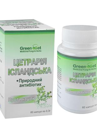 Исландский мох природный антибиотик 60 капсул таблеток GreenSet