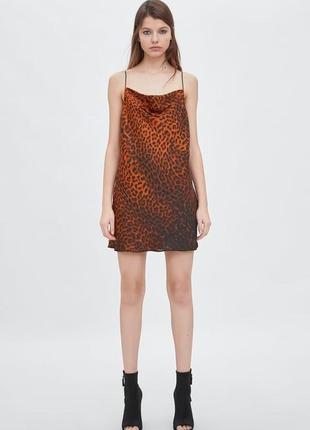 Мини - платье zara с леопардовым гепардом и животным принтом