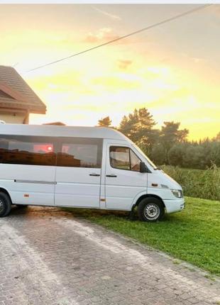 Пасажирські перевезення,Трансвер, Mersedes sprinter