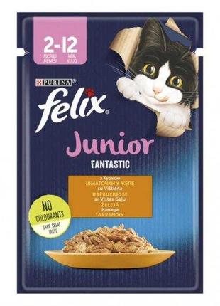 Felix Fantastic + Sensations - консерви для кошенят Фелікс 12 ...
