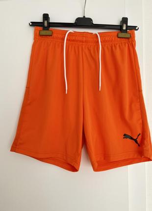 Оранжевые футбольные детские шорты puma dry cell футбольная фо...