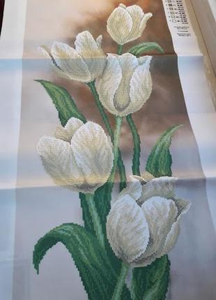 Схема для вышивки "белые тюльпаны".