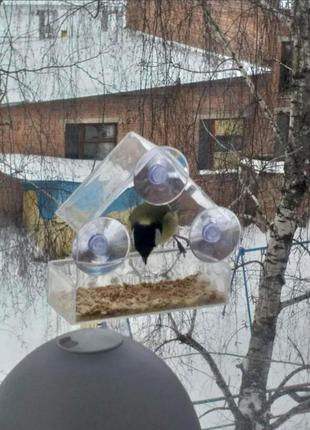 Оконная кормушка на окно стекло прозрачная для птиц