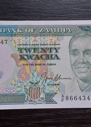 20 Квача Замбии