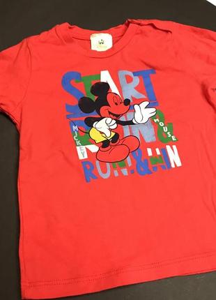 Кофта футболка benetton disney babe