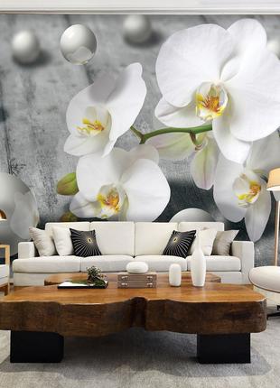 Фото обои цветы 368х254 см 3д Серые шарики и белые орхидеи (30...
