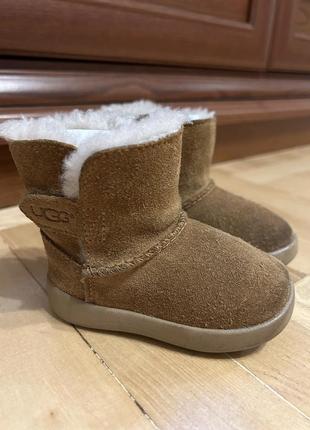 Угги, сапожки ugg