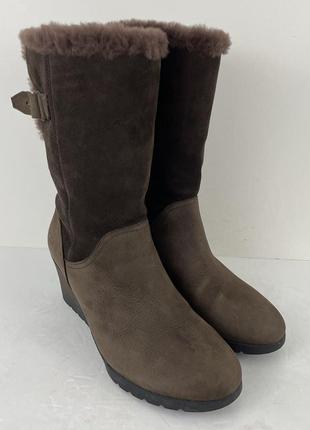 Теплые женские сапоги ugg edelina boots