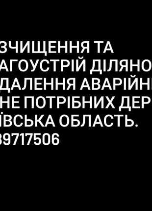 Розчищення та благоустрій ділянок