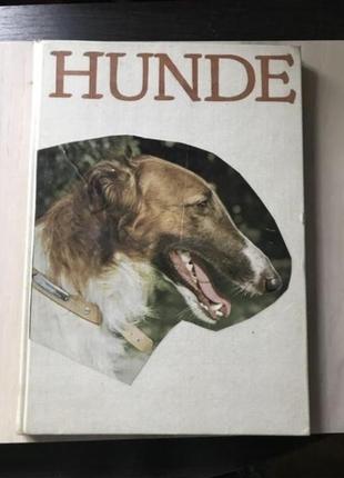 Книга подарок сувенир собаки