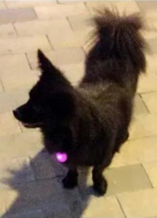 Светодиодный LED фонарик для собак и котов на ошейник брелок ф...