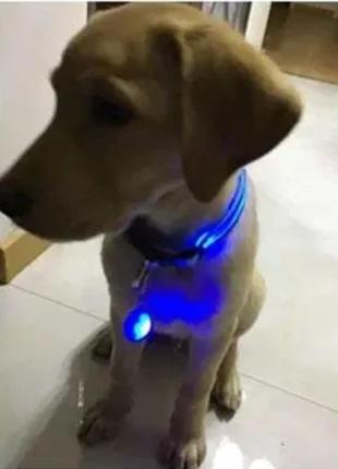 Светодиодный LED фонарик для собак и котов на ошейник брелок ф...