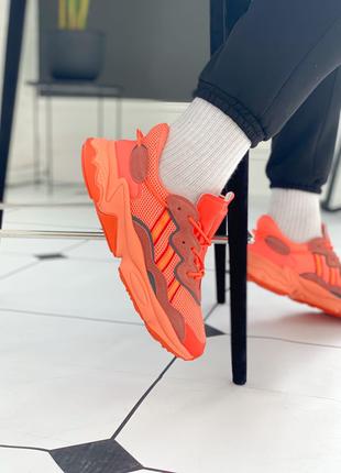 Кроссовки Adidas Ozweego "Orange"
