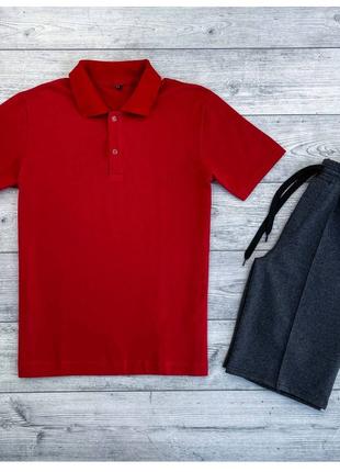 Мужской летний комплект красная футболка поло тенниска + серые...