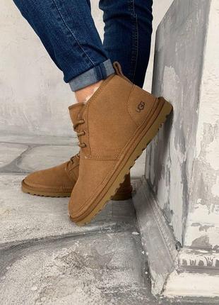 Мужские ботинки UGG Ginger