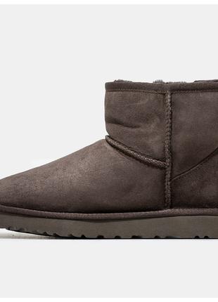 Мужские зимние UGG Classic Mini Chocolate, шоколадные замшевые...