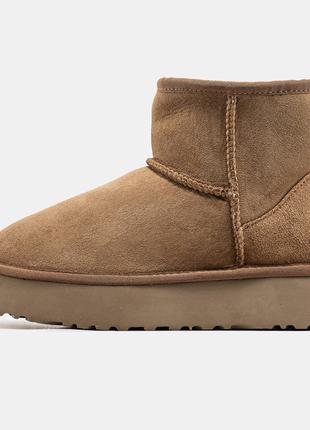 Женские зимние UGG Classic Mini Platform Brown, коричневые зам...